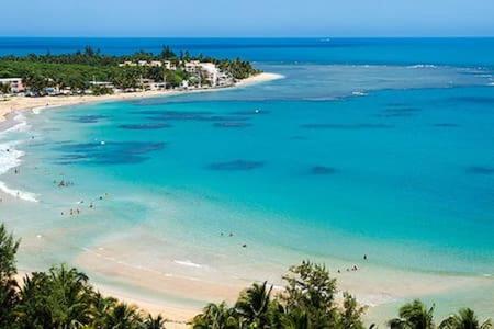 Seaside Serenity - Cozy Studio Apartment Luquillo Exterior photo